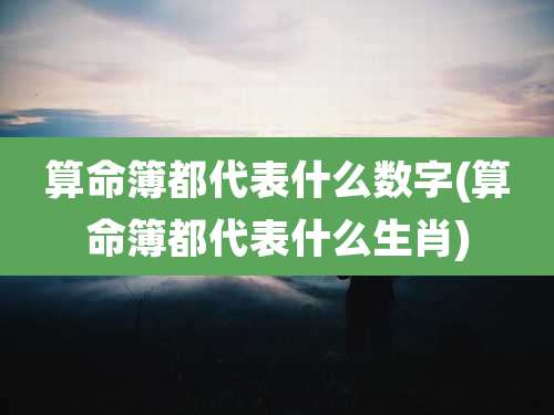 算命簿都代表什么数字(算命簿都代表什么生肖)