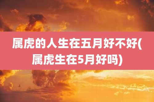 属虎的人生在五月好不好(属虎生在5月好吗)