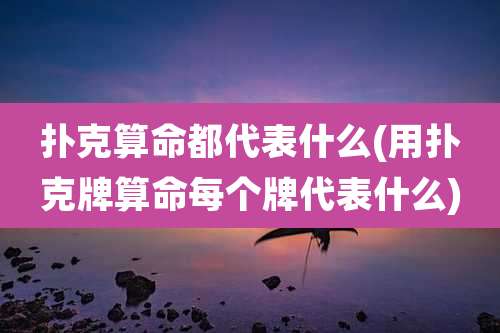 扑克算命都代表什么(用扑克牌算命每个牌代表什么)