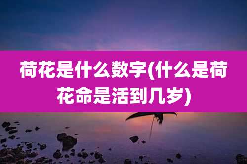 荷花是什么数字(什么是荷花命是活到几岁)