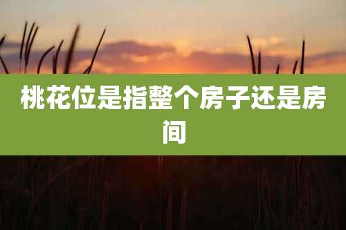 桃花位是指整个房子还是房间
