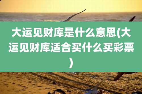大运见财库是什么意思(大运见财库适合买什么买彩票)