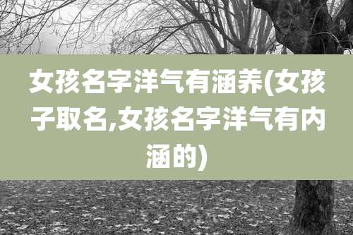 女孩名字洋气有涵养(女孩子取名,女孩名字洋气有内涵的)