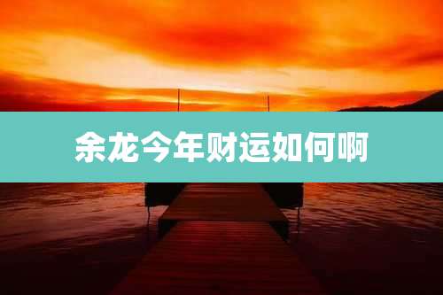 余龙今年财运如何啊
