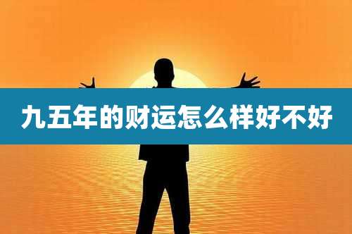 九五年的财运怎么样好不好