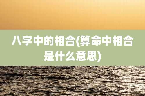 八字中的相合(算命中相合是什么意思)