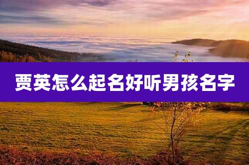 贾英怎么起名好听男孩名字