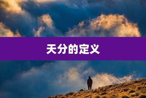 天分的定义