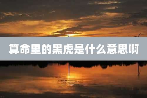 算命里的黑虎是什么意思啊