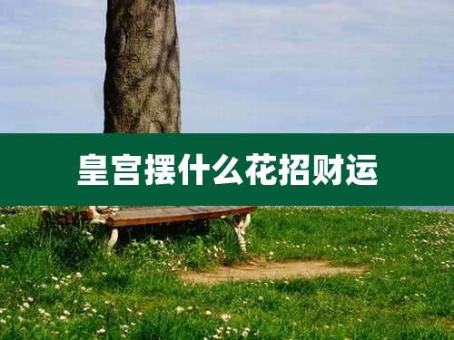 皇宫摆什么花招财运