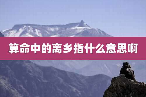 算命中的离乡指什么意思啊