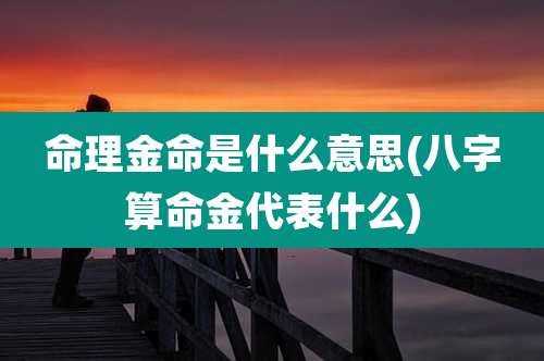 命理金命是什么意思(八字算命金代表什么)
