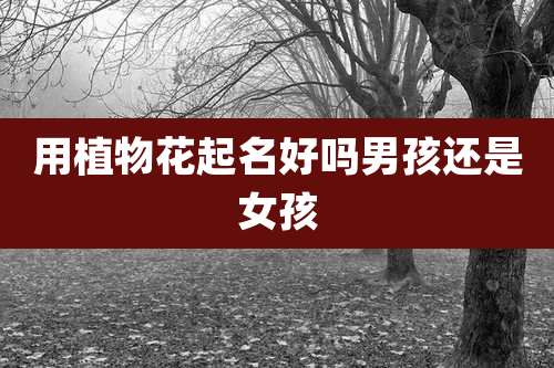 用植物花起名好吗男孩还是女孩