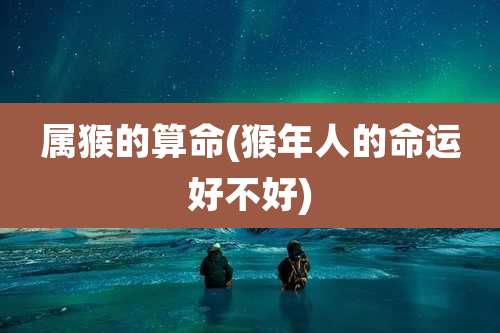 属猴的算命(猴年人的命运好不好)