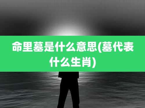 命里墓是什么意思(墓代表什么生肖)