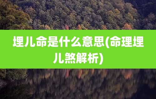 埋儿命是什么意思(命理埋儿煞解析)