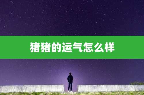 猪猪的运气怎么样