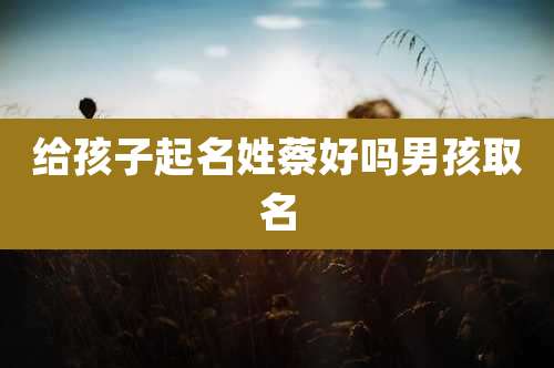 给孩子起名姓蔡好吗男孩取名