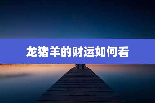 龙猪羊的财运如何看