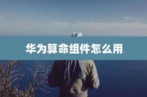 华为算命组件怎么用