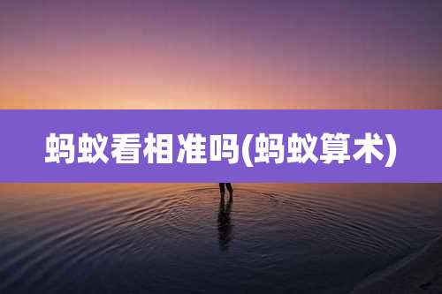 蚂蚁看相准吗(蚂蚁算术)