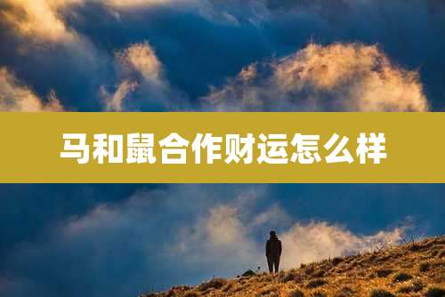 马和鼠合作财运怎么样