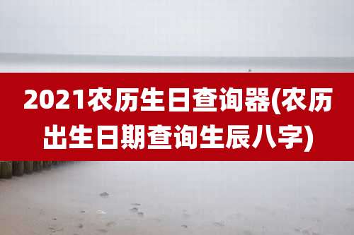 2021农历生日查询器(农历出生日期查询生辰八字)