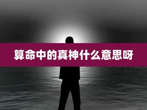 算命中的真神什么意思呀