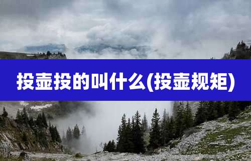 投壶投的叫什么(投壶规矩)