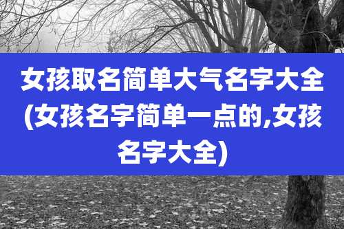 女孩取名简单大气名字大全(女孩名字简单一点的,女孩名字大全)