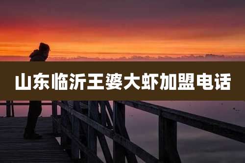 山东临沂王婆大虾加盟电话