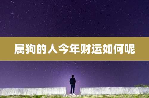 属狗的人今年财运如何呢