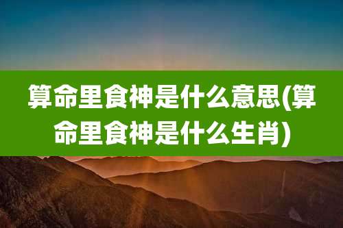 算命里食神是什么意思(算命里食神是什么生肖)