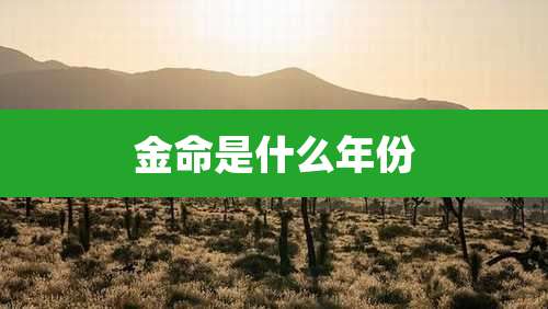 金命是什么年份
