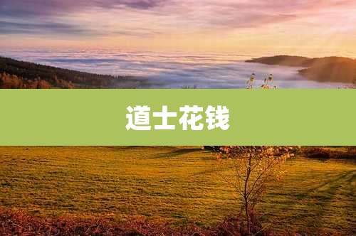 道士花钱