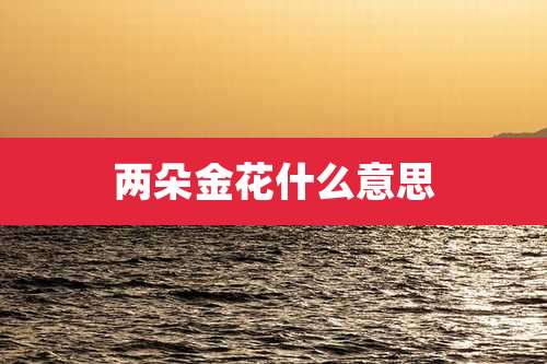 两朵金花什么意思