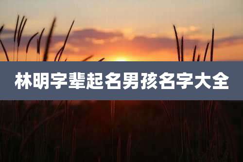 林明字辈起名男孩名字大全
