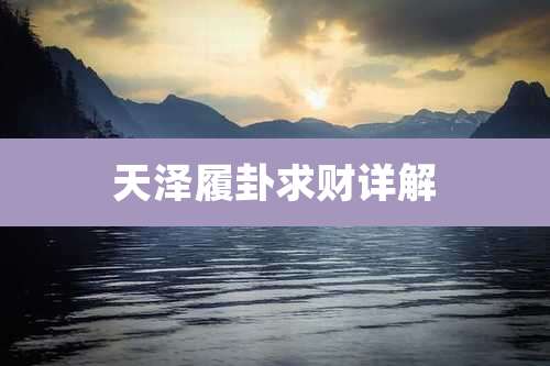 天泽履卦求财详解