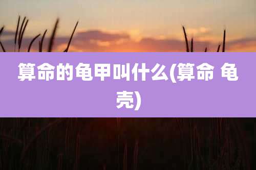 算命的龟甲叫什么(算命 龟壳)