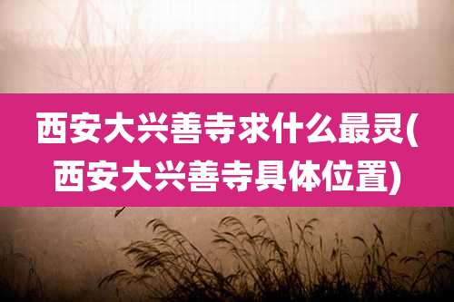 西安大兴善寺求什么最灵(西安大兴善寺具***置)