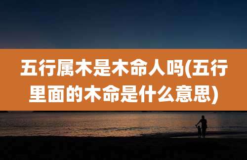 五行属木是木命人吗(五行里面的木命是什么意思)