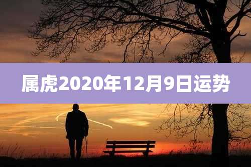 属虎2020年12月9日运势