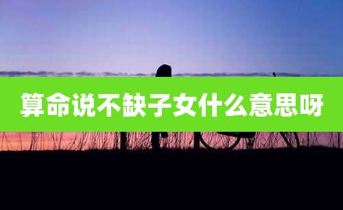 算命说不缺子女什么意思呀