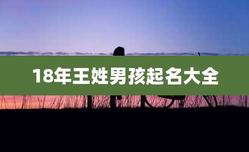18年王姓男孩起名大全