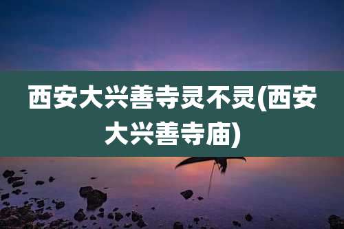 西安大兴善寺灵不灵(西安大兴善寺庙)