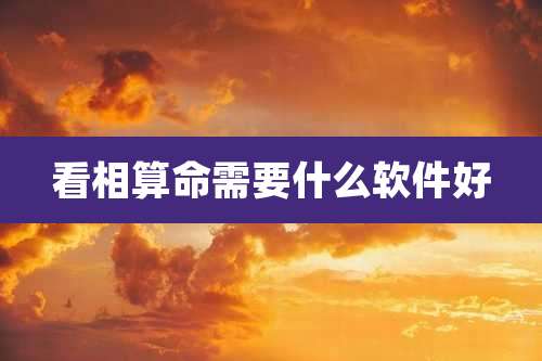 看相算命需要什么软件好