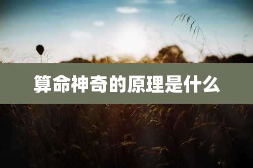 算命神奇的原理是什么