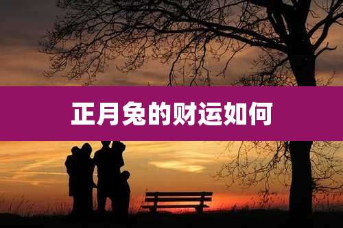 正月兔的财运如何