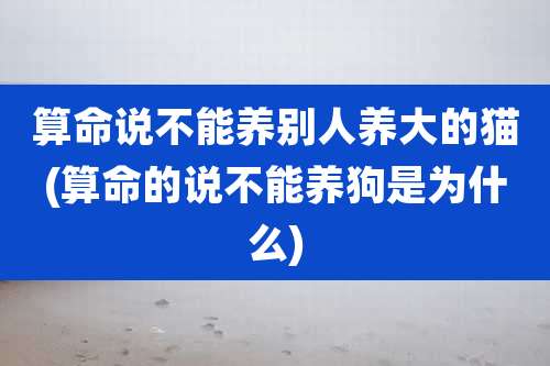 算命说不能养别人养大的猫(算命的说不能养狗是为什么)