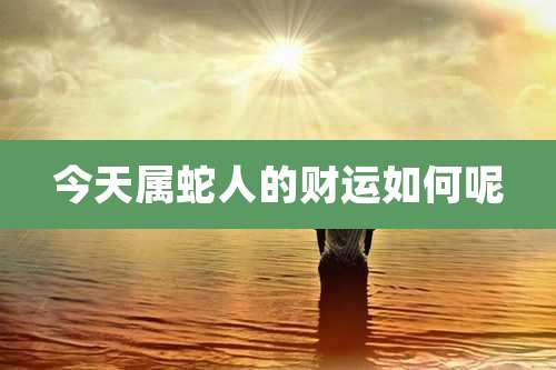 今天属蛇人的财运如何呢